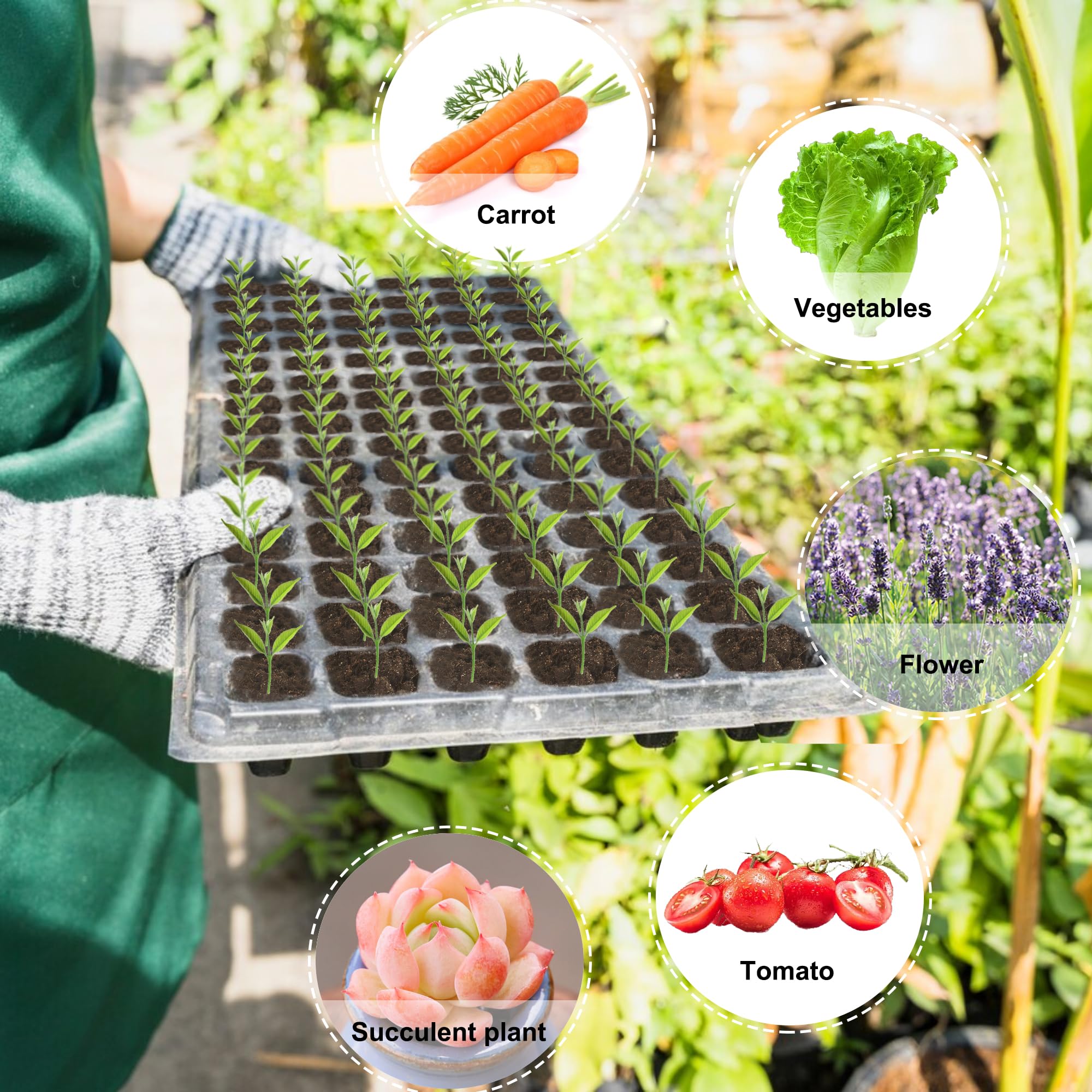 LARNORJE plant labels and markers laid out for clear variety tracking and organization