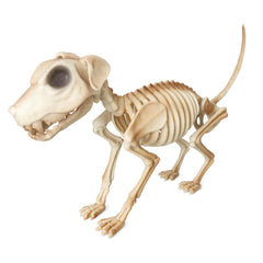 LarpGears front view of full dog skeleton showing lifelike pose and spooky impact