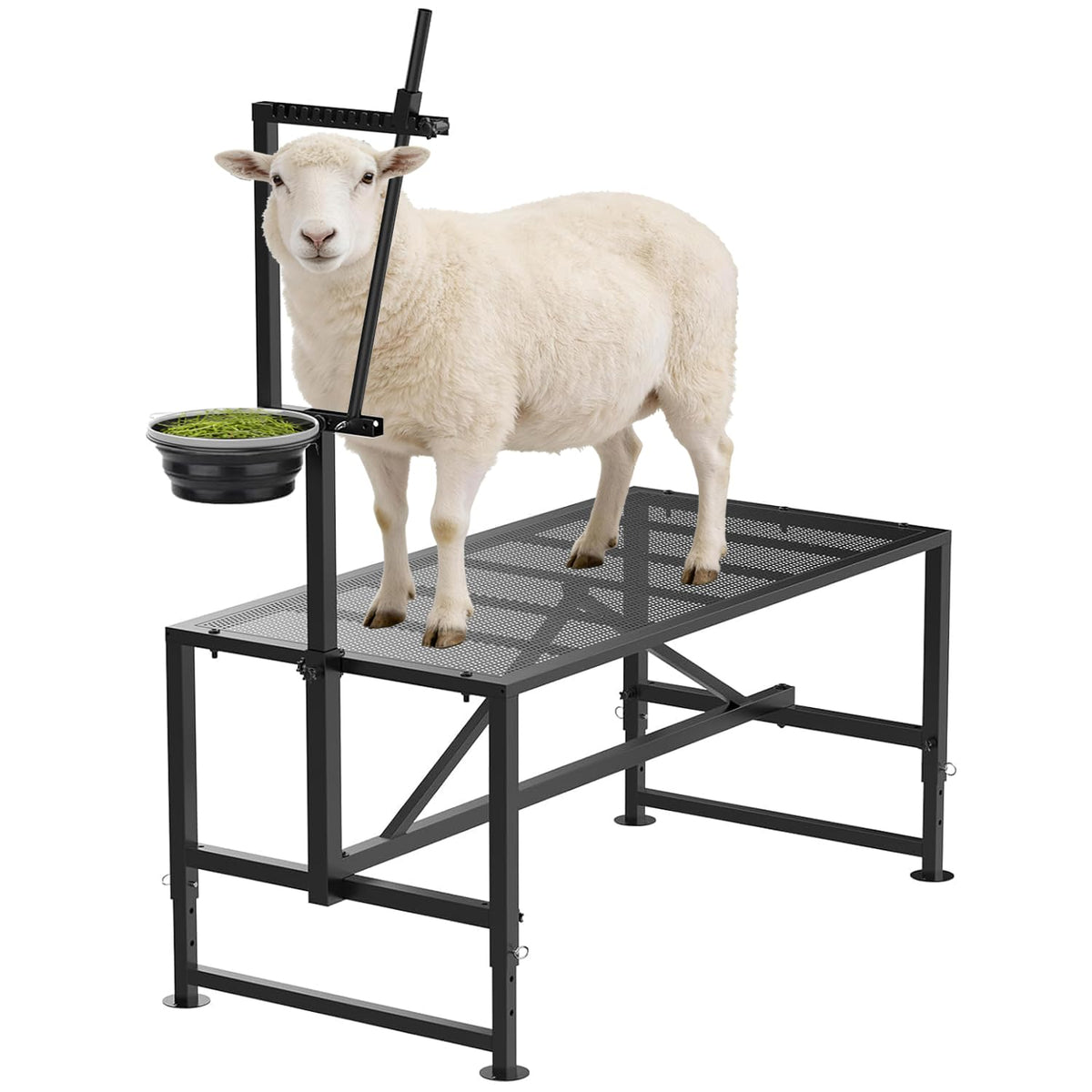 Larrik front view of milking stand showing sturdy frame and platform benefit stability