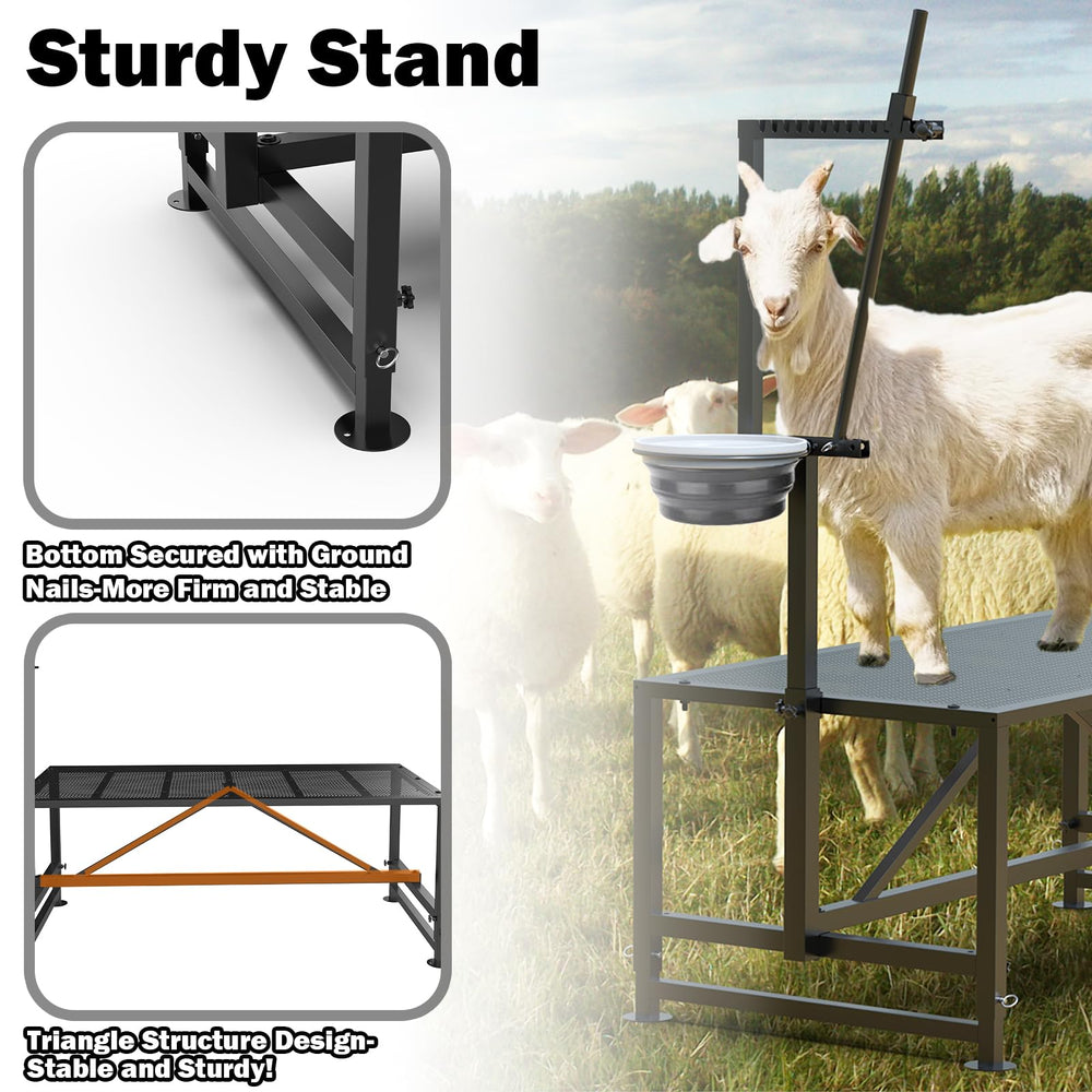 Larrik used as grooming table for large dog showing versatility and ease of use