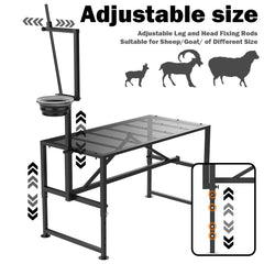 Larrik stand in use during hoof trimming showing secure hold and safer workflow