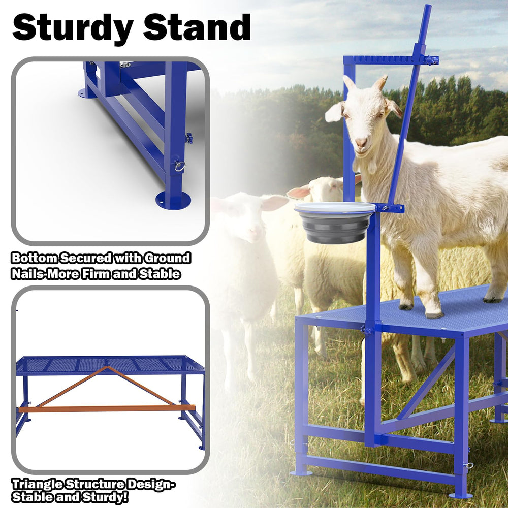 Larrik in use milking setup showing secure hold and efficient milking benefit