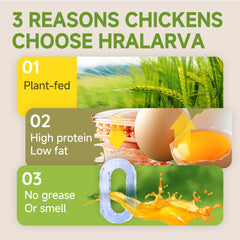 Larvevo handful beside coins showing size and portion control benefit