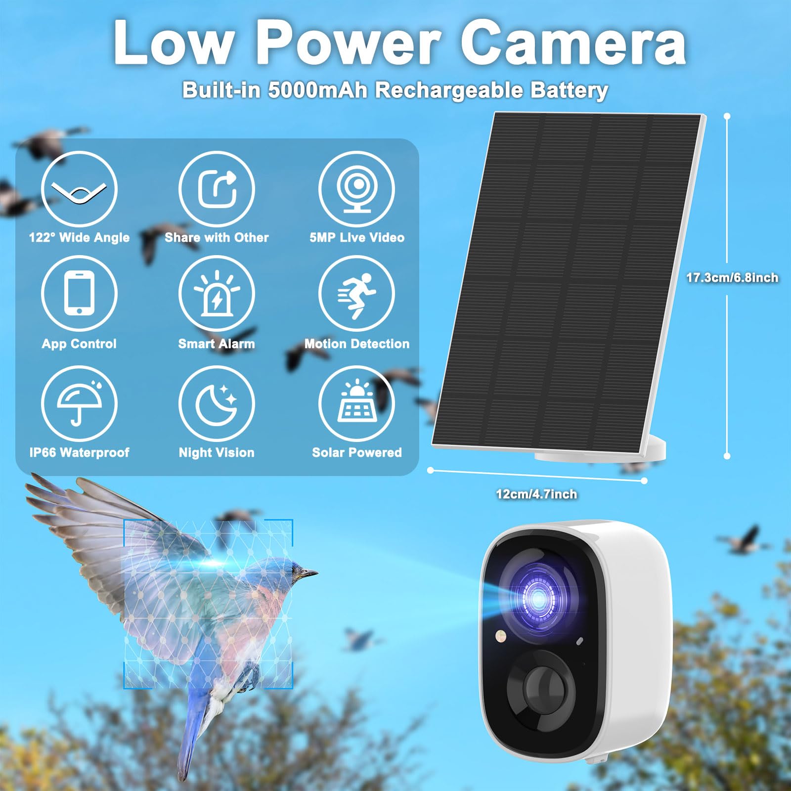 LASTOOLS camera lens inside nest box close-up offering crisp 2K detail for eggs and chicks