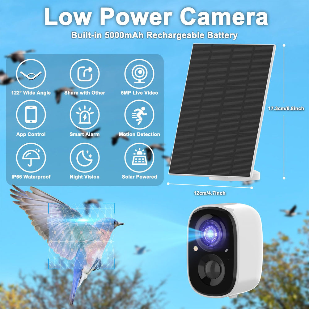 LASTOOLS camera lens inside nest box close-up offering crisp 2K detail for eggs and chicks