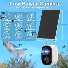 LASTOOLS camera lens inside nest box close-up offering crisp 2K detail for eggs and chicks