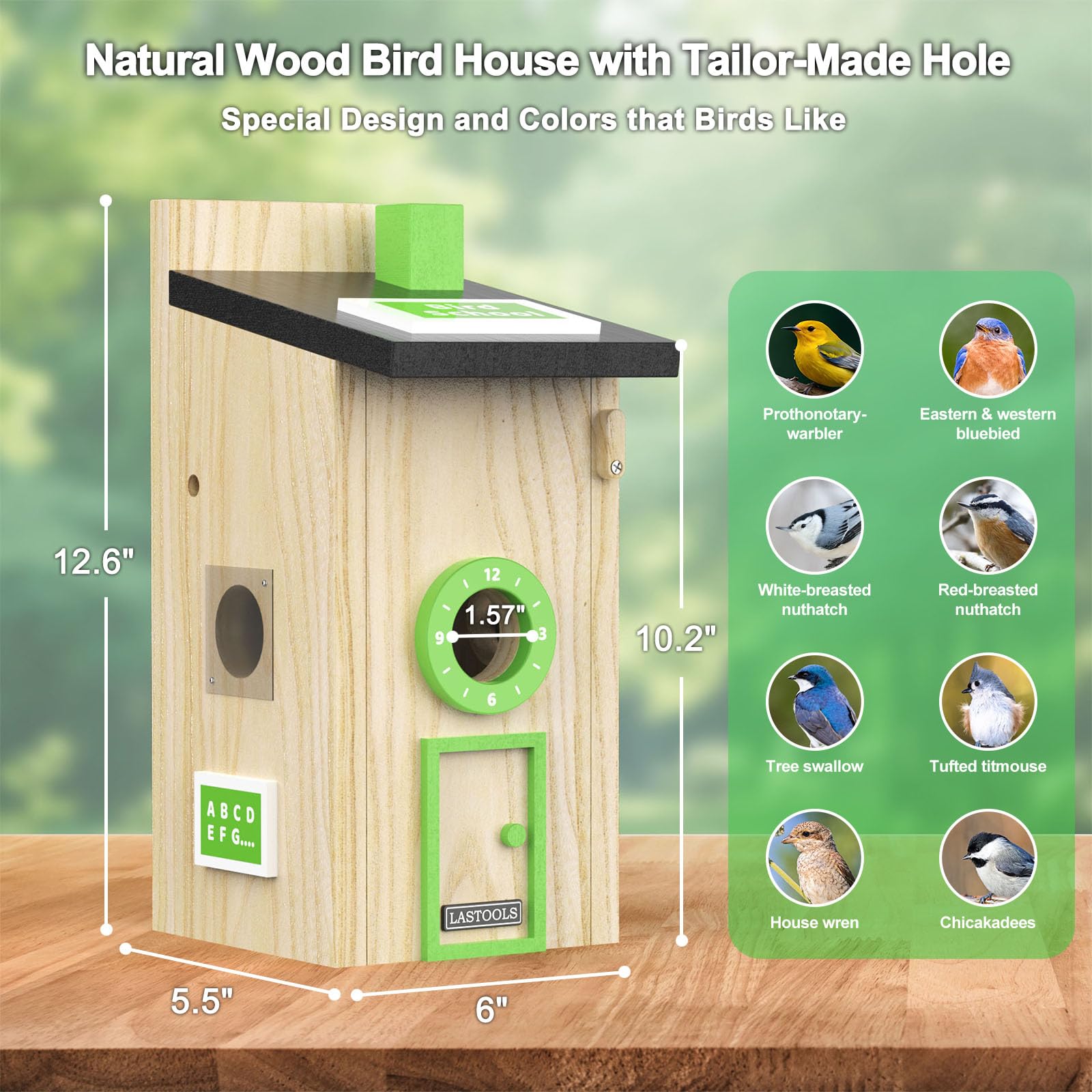LASTOOLS birdhouse installed on a tree in a garden showing discreet placement and bird-friendly look