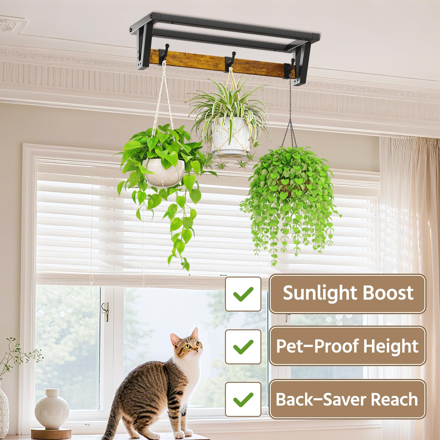 LASZOLA ceiling-mounted on covered porch providing elevated decorative greenery