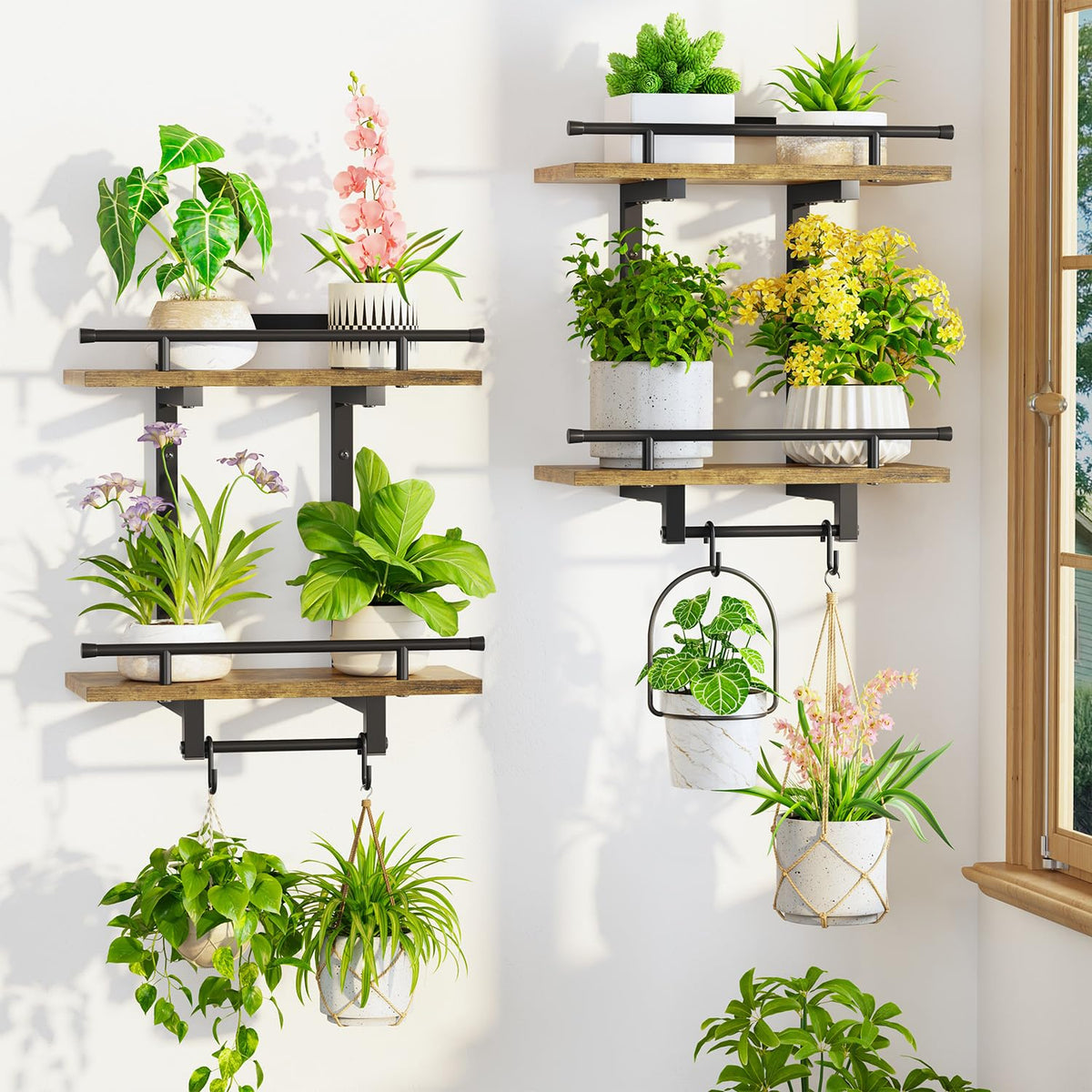 LASZOLA front view of assembled shelves showing tidy plant display and space savings