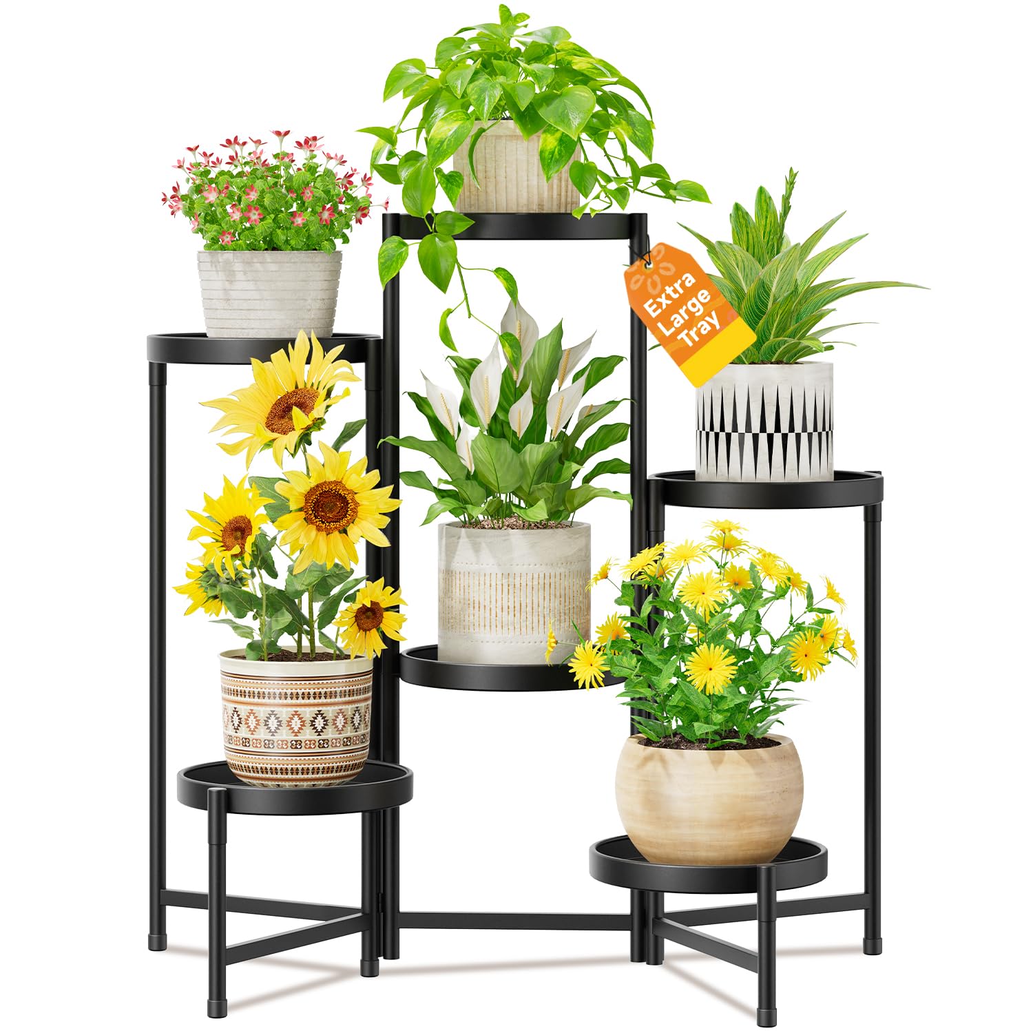 LASZOLA full stand front view showing six tiers and tidy display benefit