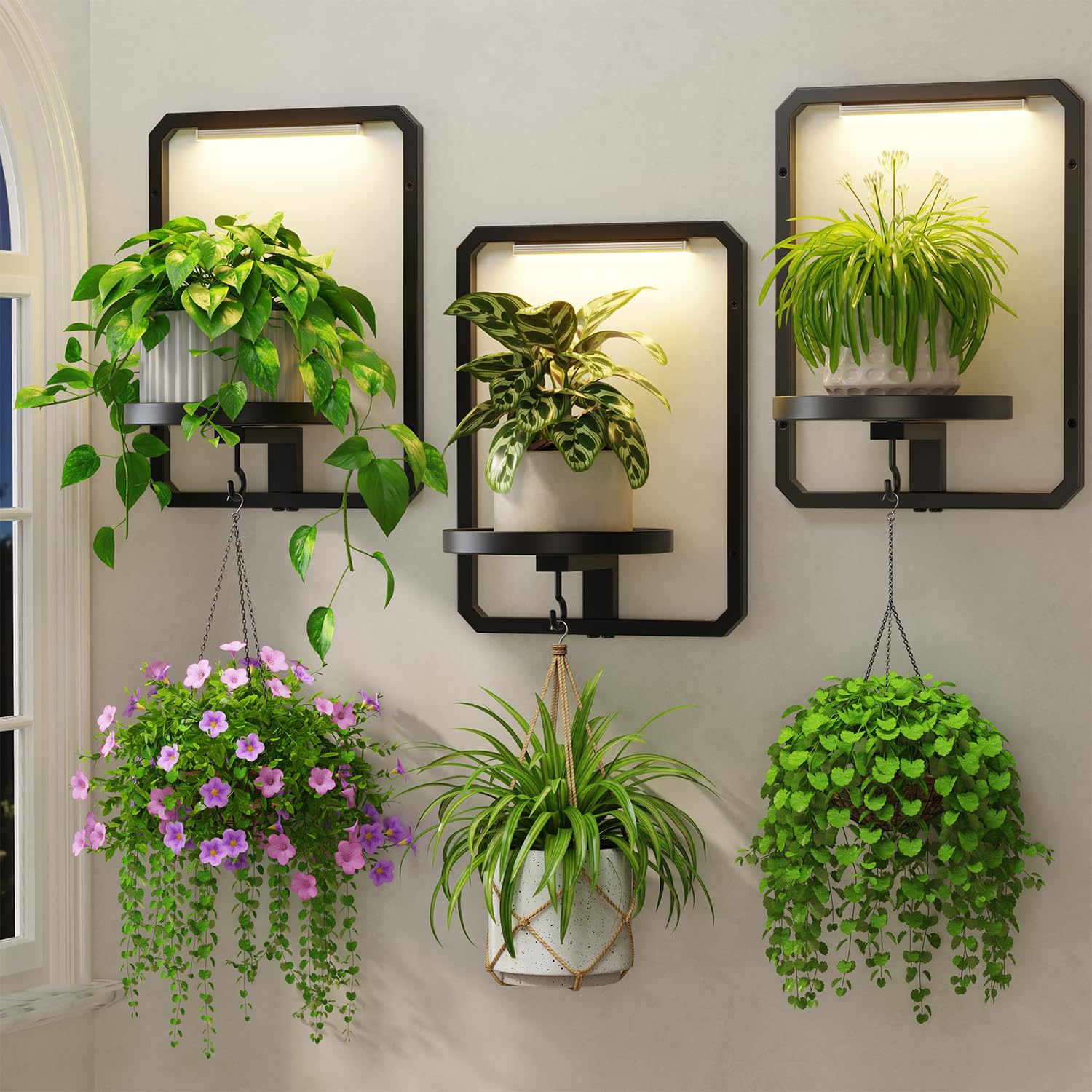 LASZOLA front view wall display showing neat plant gallery and tidy space saving