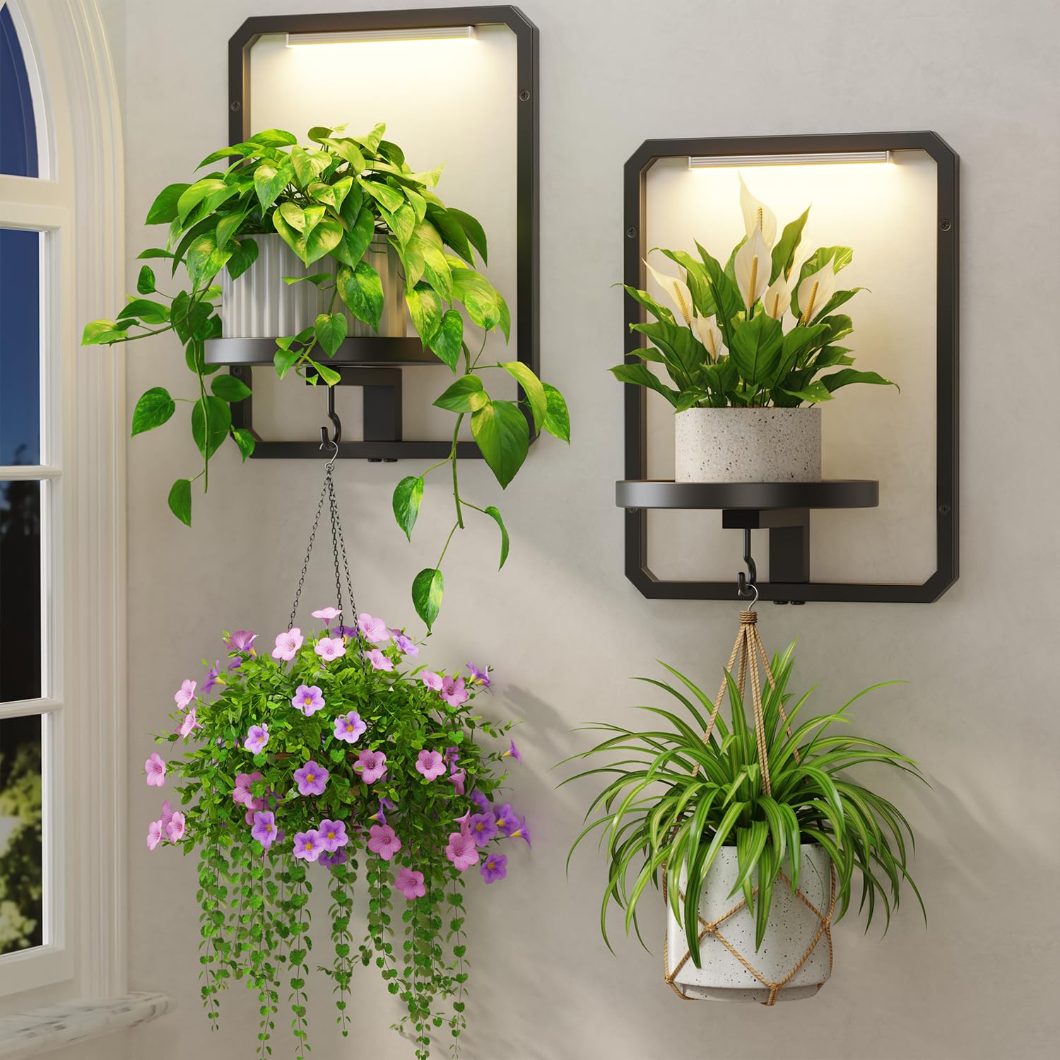 LASZOLA front view black frame shelf showing tidy plant display and style