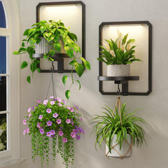 LASZOLA front view black frame shelf showing tidy plant display and style