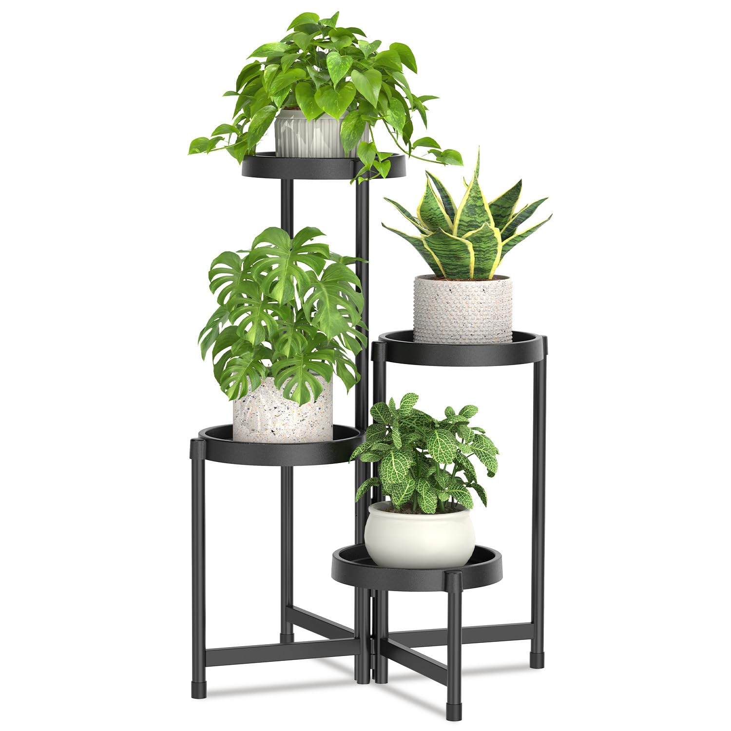 LASZOLA front view showing four-tier rack for compact plant display and organization