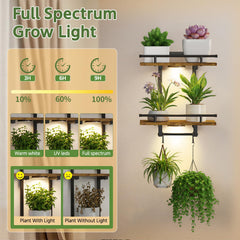 LASZOLA grow light panel detail showing adjustable modes and brighter growth support