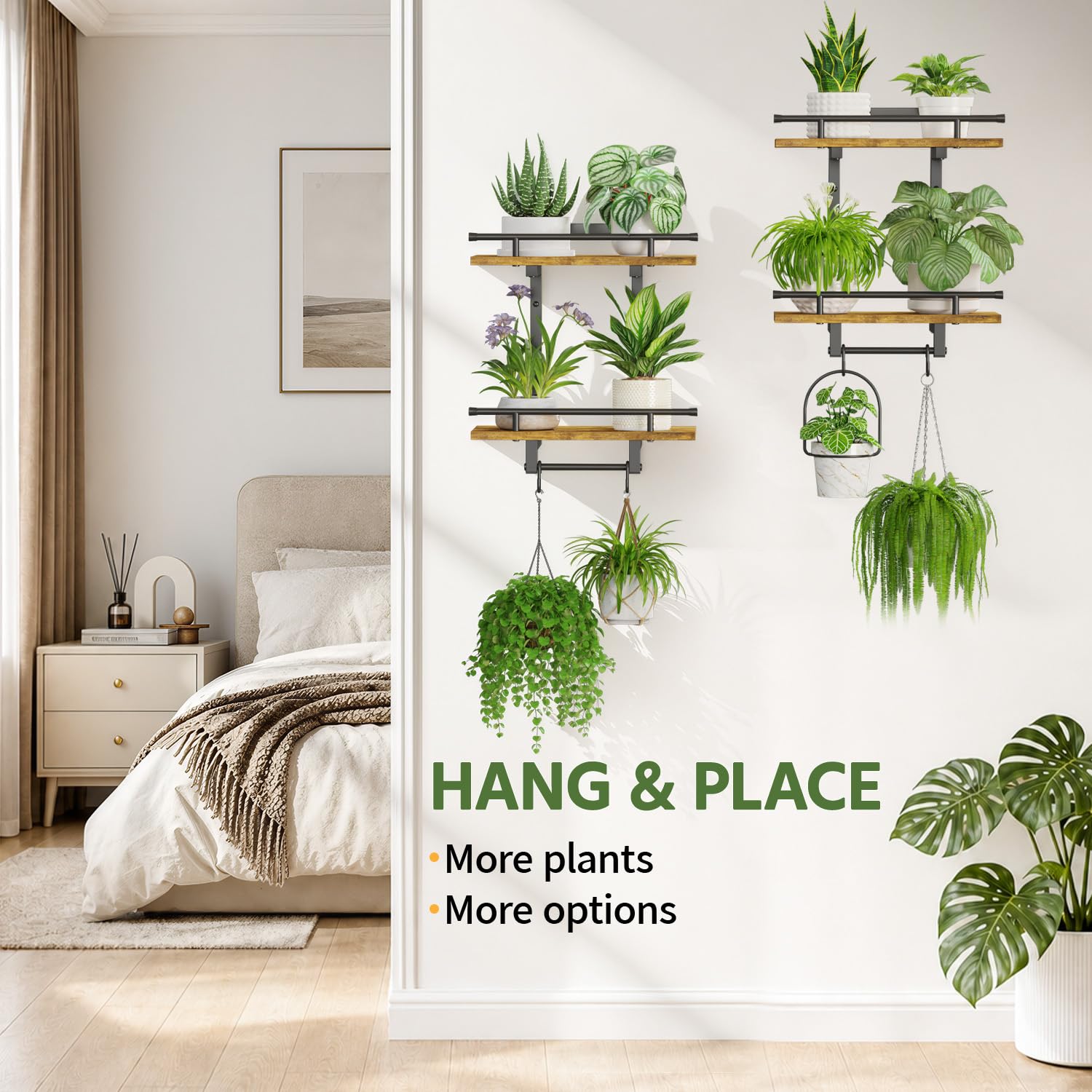 LASZOLA scale comparison beside a book to show shelf size and placement options