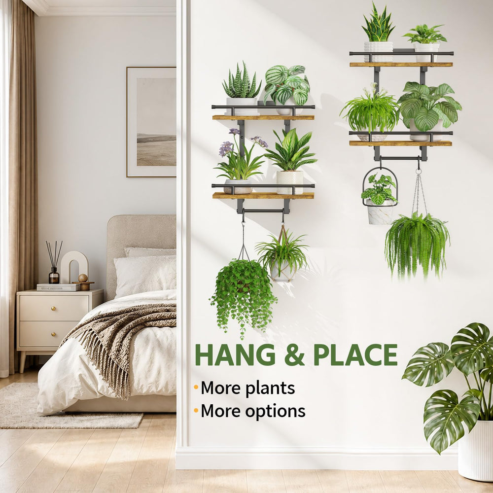 LASZOLA scale comparison beside a book to show shelf size and placement options