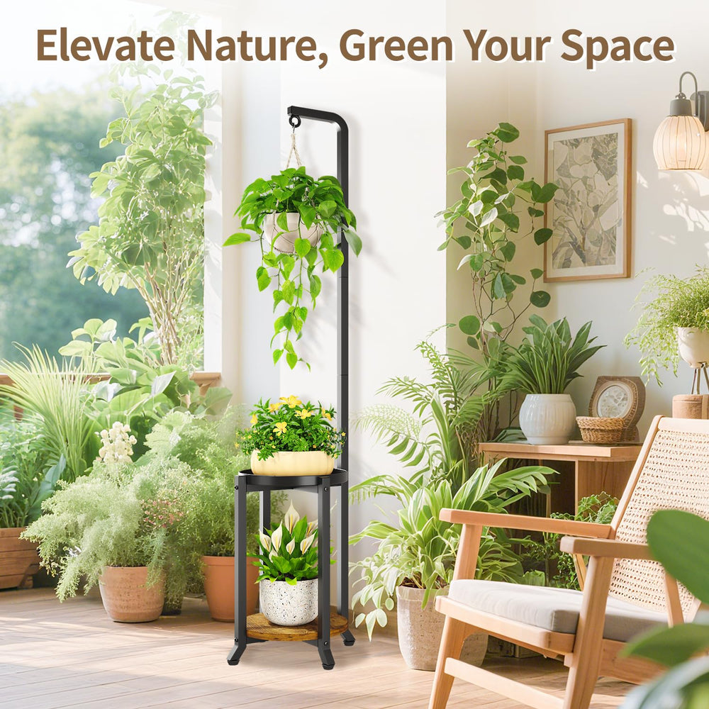 LASZOLA lifestyle image in room corner showcasing compact decorative greenery benefit