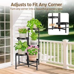 LASZOLA styled in living room with plants showing decorative display benefit