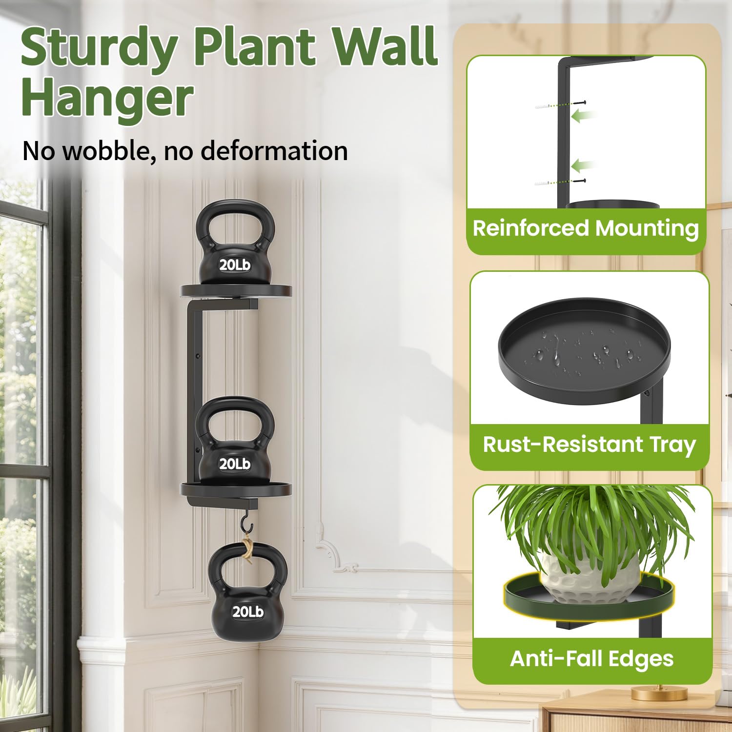 LASZOLA mounted in window lifestyle showing year-round indoor plant growth