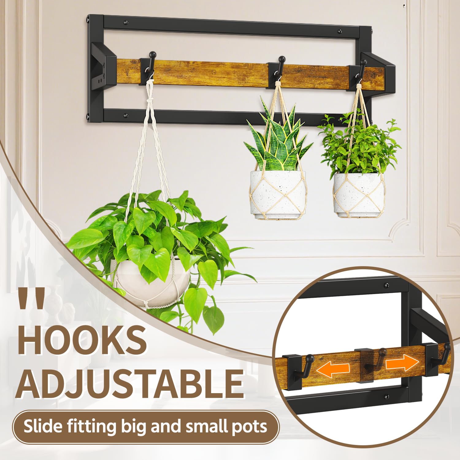 LASZOLA mounted by a window capturing sunlight access for healthier plants