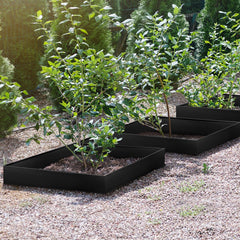LAVEVE installed garden edged bed illustrating clean separation between lawn and planting benefit