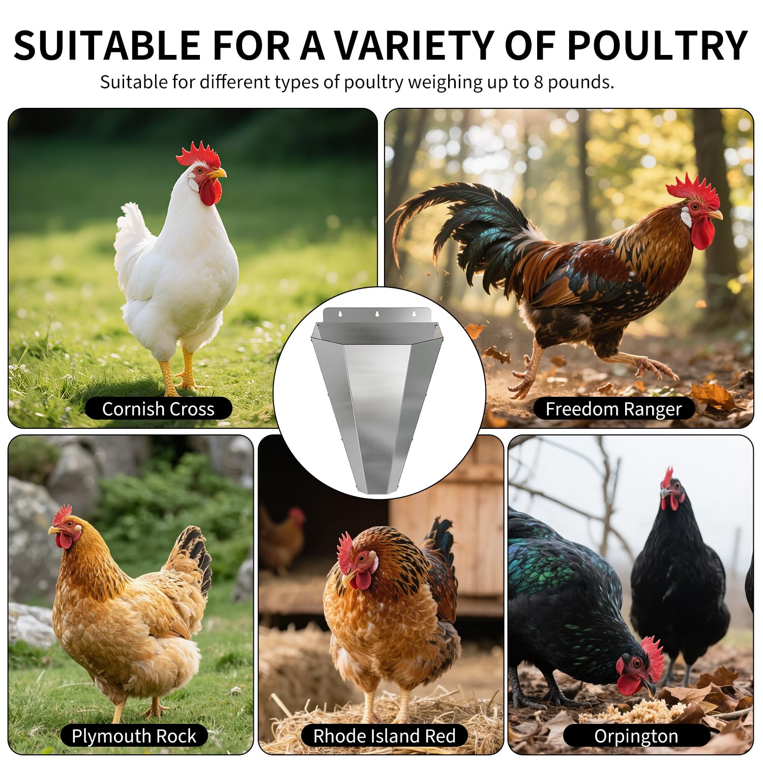 LavviTech cone beside ruler showing medium size for poultry up to 8 lbs benefit