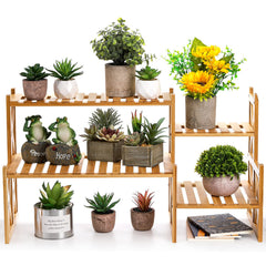 Lawei ladder-style plant stand in use holding succulents to save counter space
