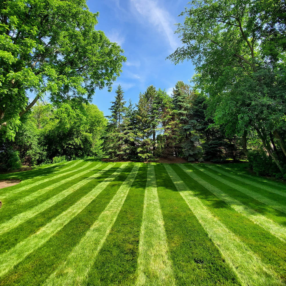 Lawn Stryper side view on Honda mower demonstrating secure fit