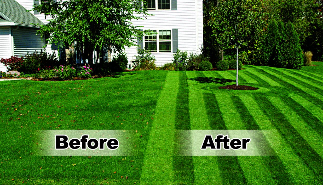 Lawn Stryper next to a shoe showing scale and easy storage benefit