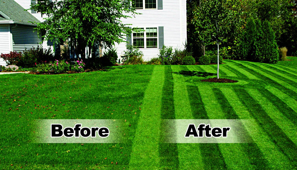 Lawn Stryper next to a shoe showing scale and easy storage benefit