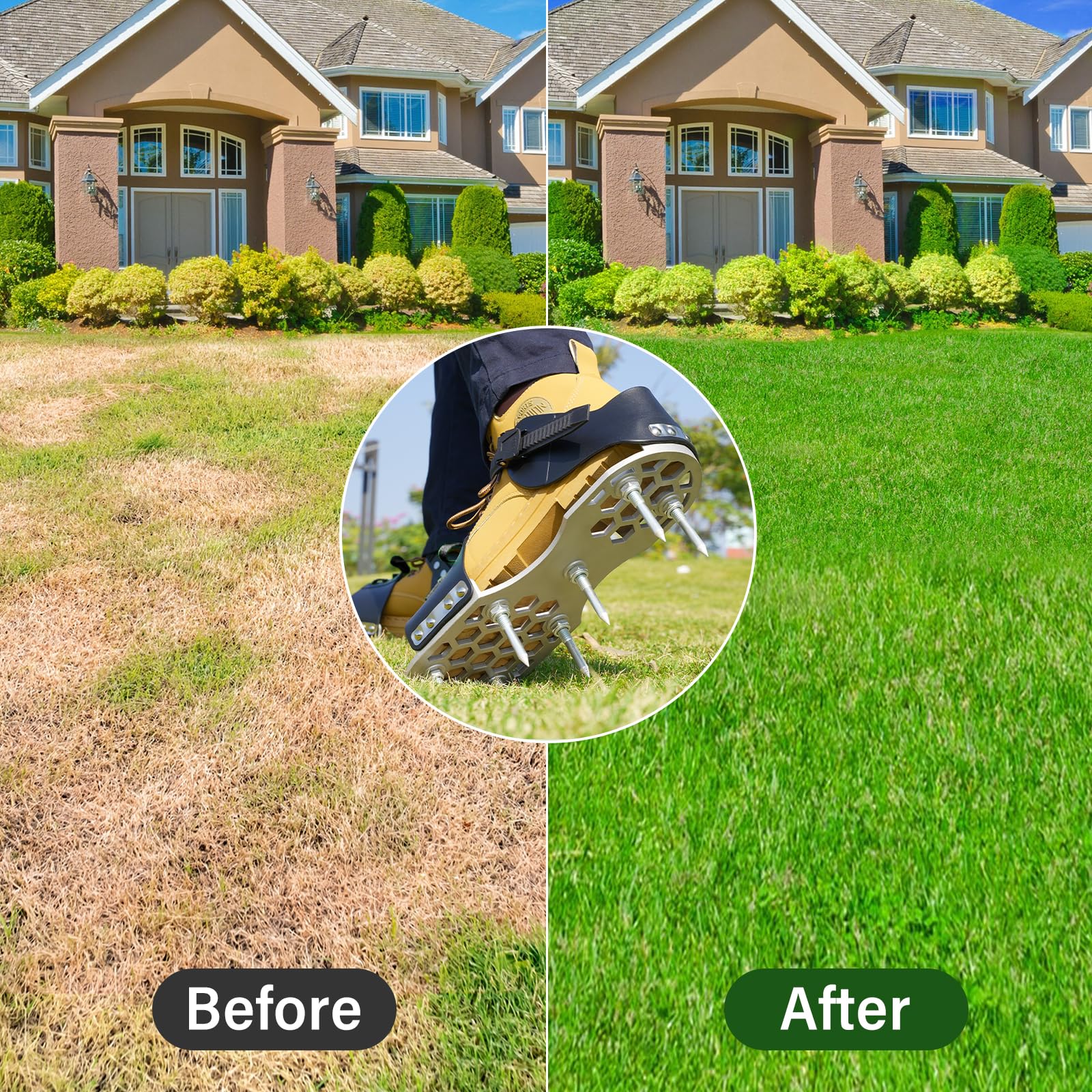 LawnVigor shoes on a landscaped lawn conveying improved drainage and greener grass