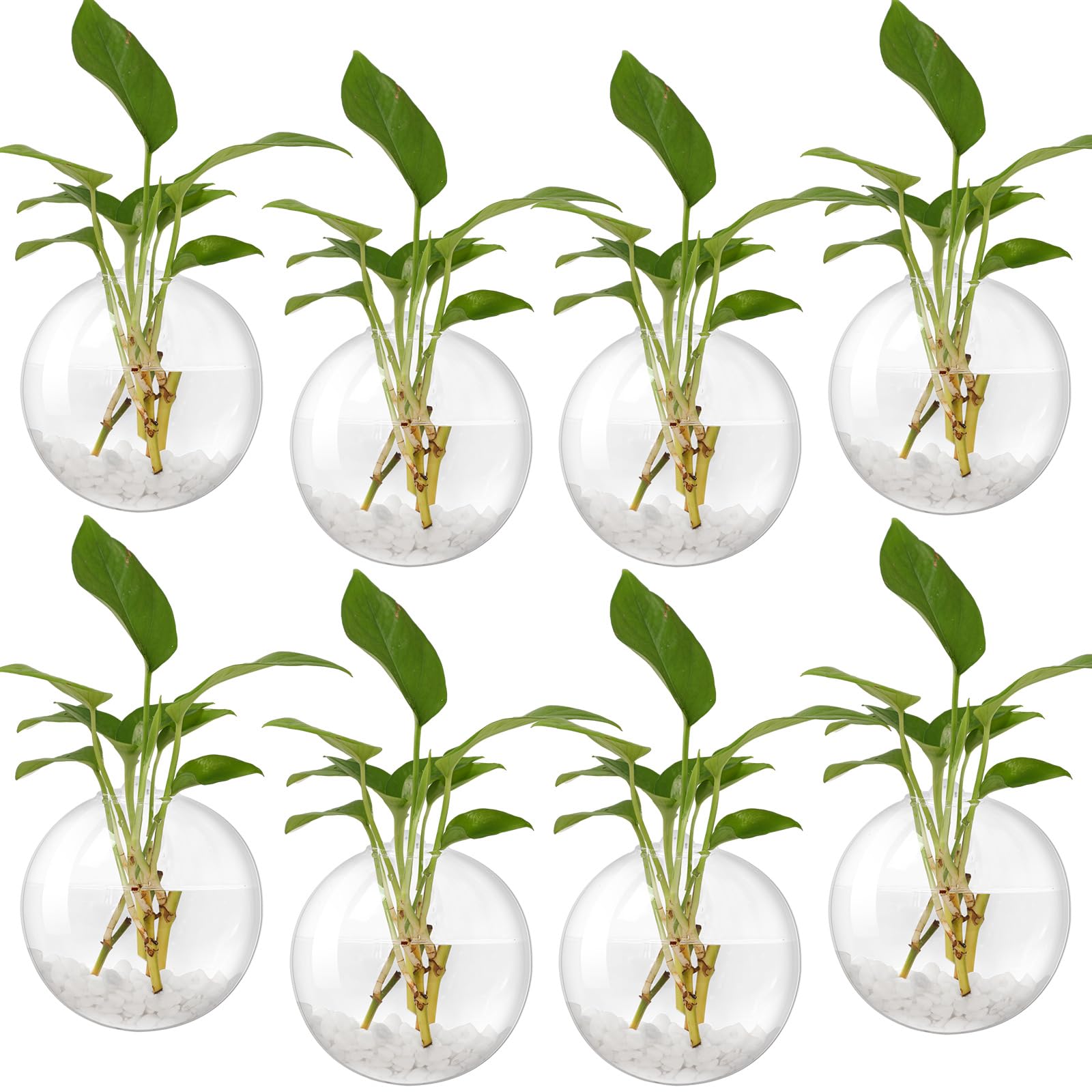Layhit front view of eight clear wall planters showing set and packaging benefit display