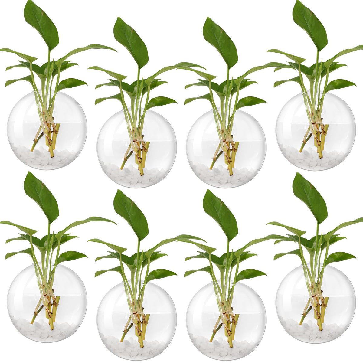 Layhit front view of eight clear wall planters showing set and packaging benefit display