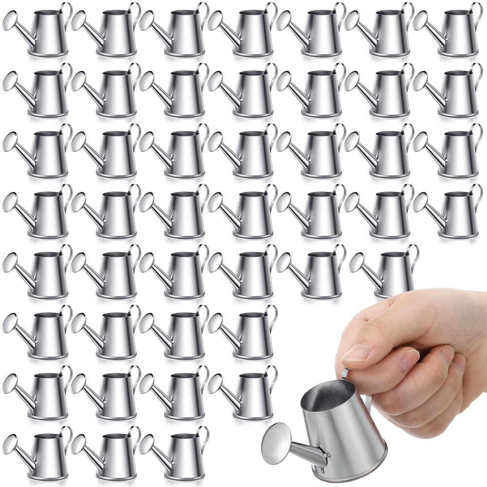 Layhit mini watering can front view showing silver finish and compact charm