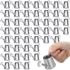 Layhit mini watering can front view showing silver finish and compact charm