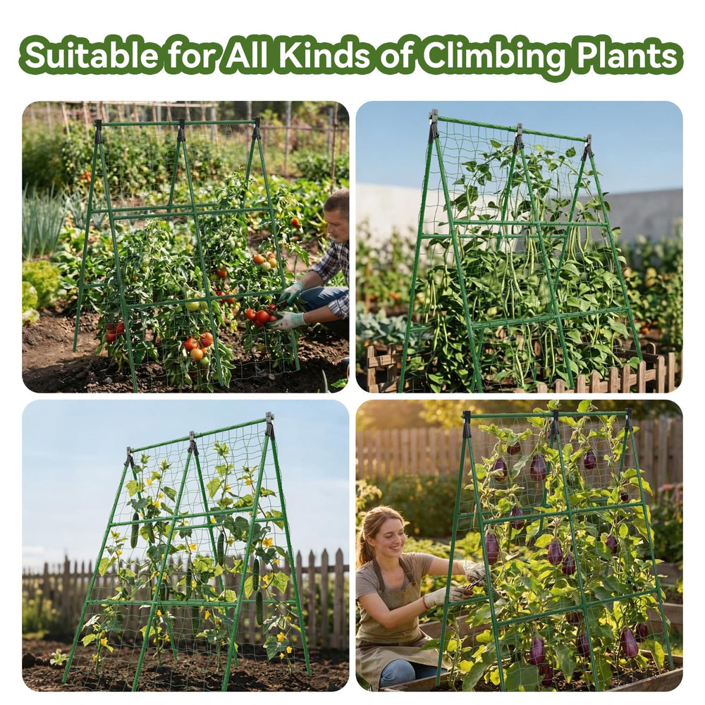 Lazzmonk trellis beside ruler showing 34 by 48 inch scale for space planning