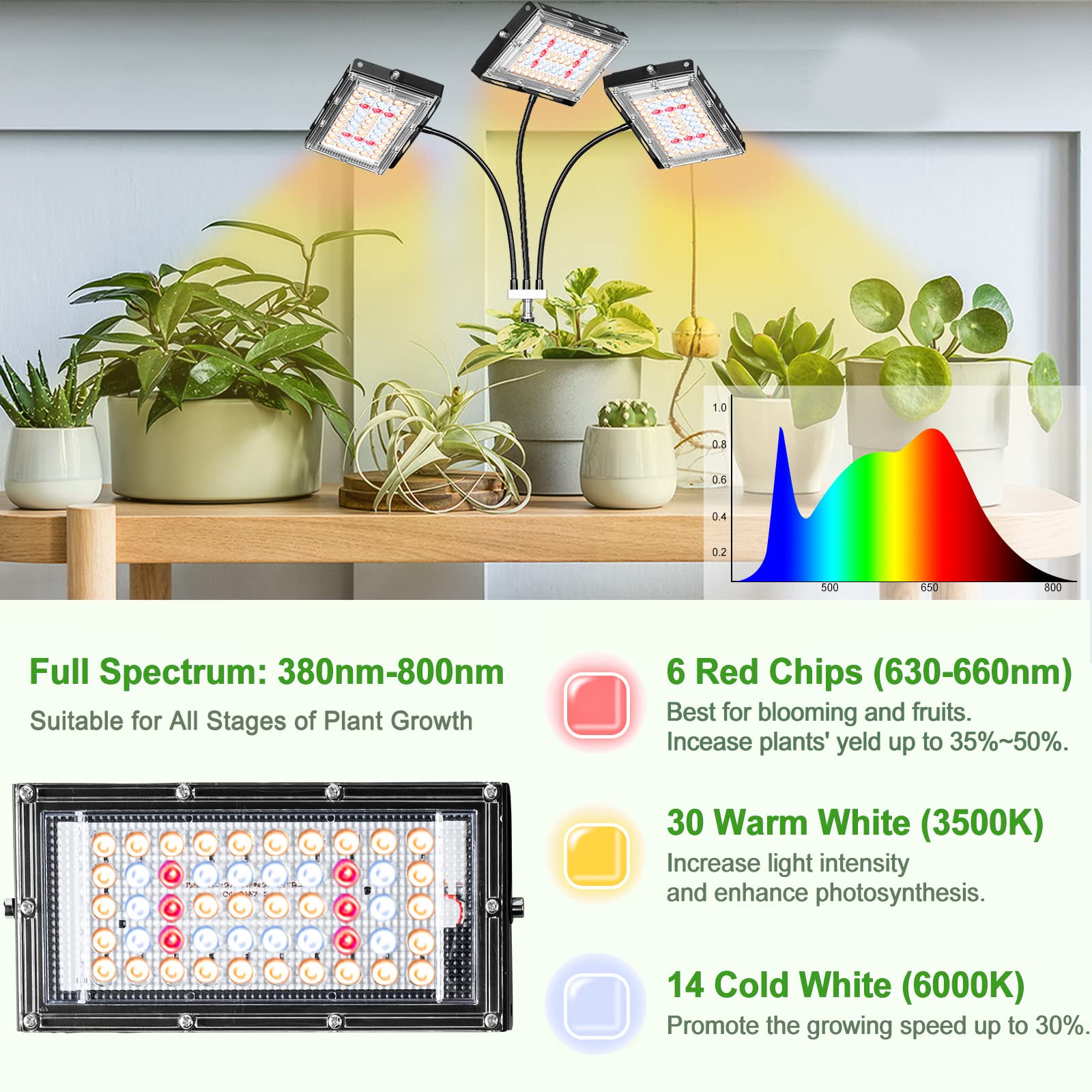 LBW LED array detail revealing full-spectrum diodes for balanced light