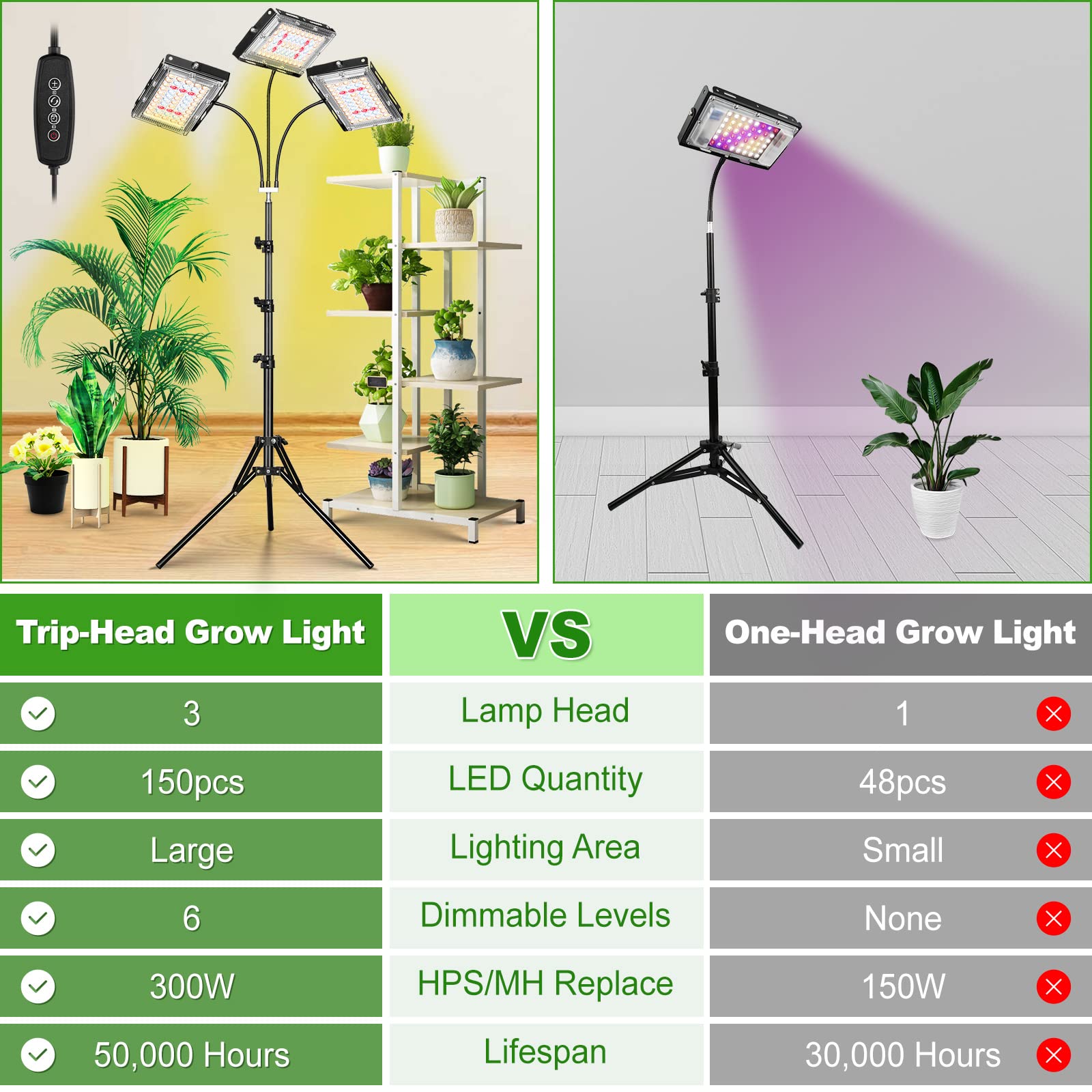 LBW size comparison next to plant showing compact footprint