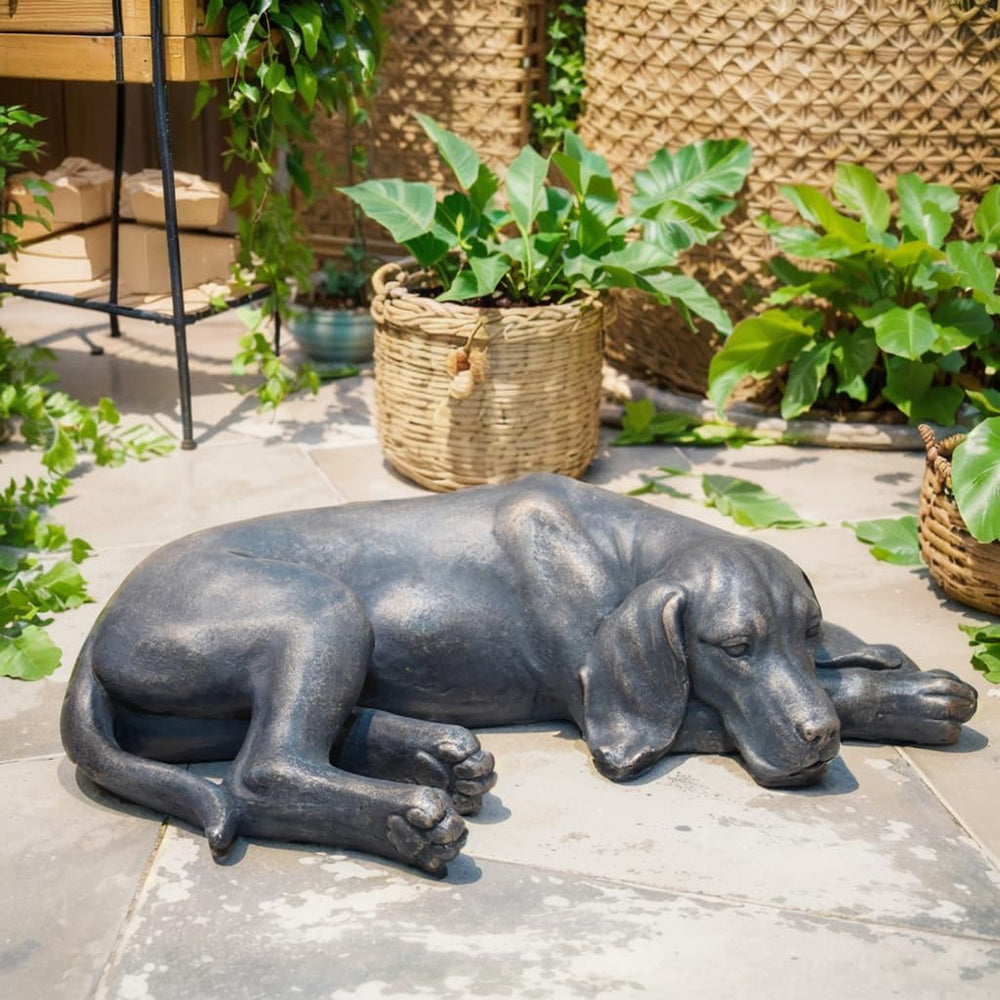 LC LCdecohome sleeping dog placed on porch step creating warm entryway charm