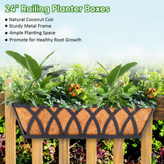 LCHUANG close-up of natural coconut coir liner demonstrating moisture retention for roots