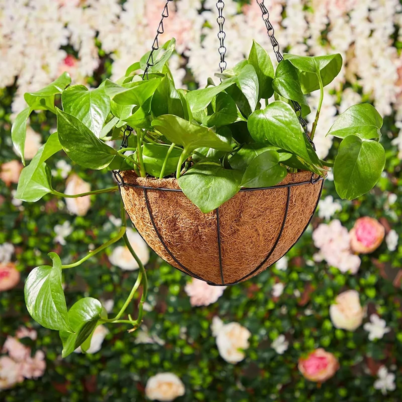 LCHUANG lifestyle balcony display creating vertical greenery and space savings