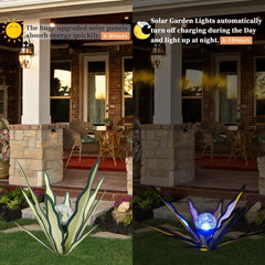 LCJECV agave staked in lawn demonstrating stable ground installation benefit