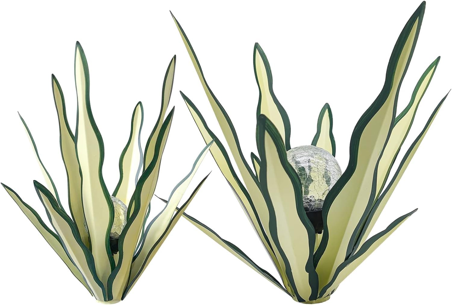 LCJECV agave in patio setting showing year-round outdoor styling benefit
