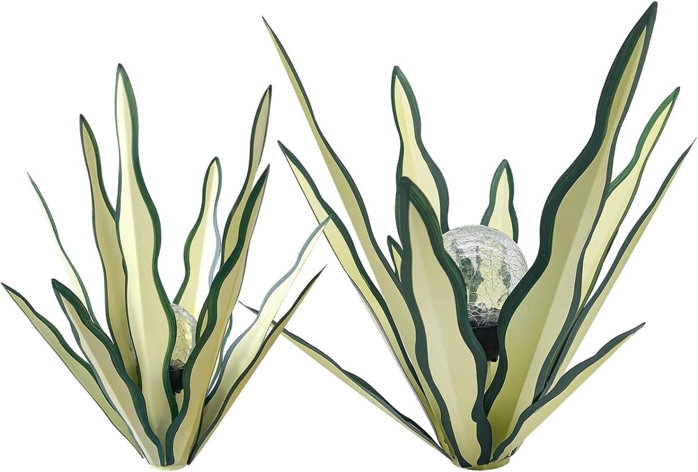 LCJECV agave in patio setting showing year-round outdoor styling benefit