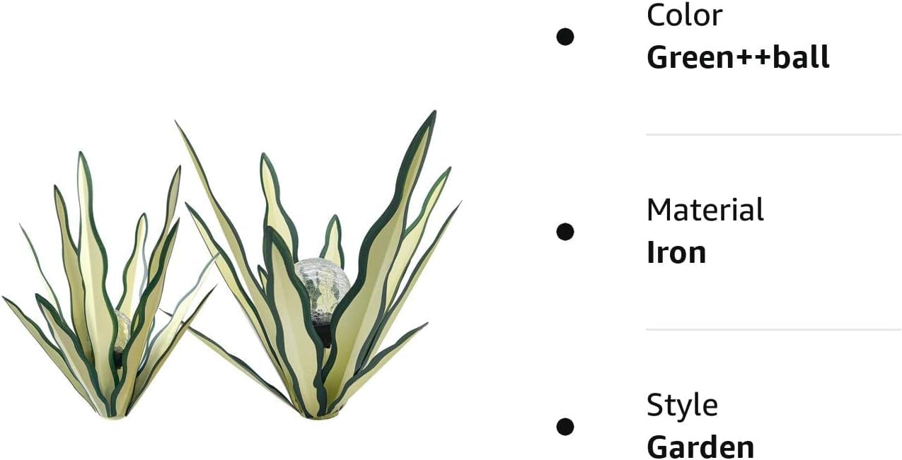 LCJECV agave beside ruler for size comparison showing scale clarity benefit