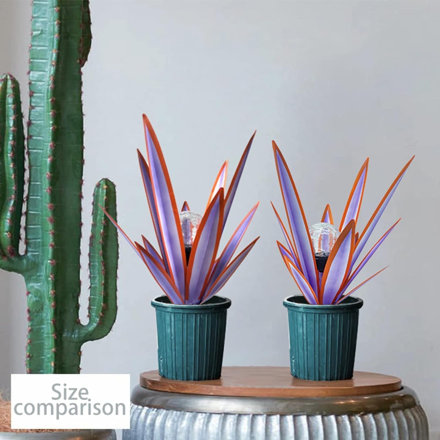 LCJECV agave set in decorative pot demonstrating container styling option