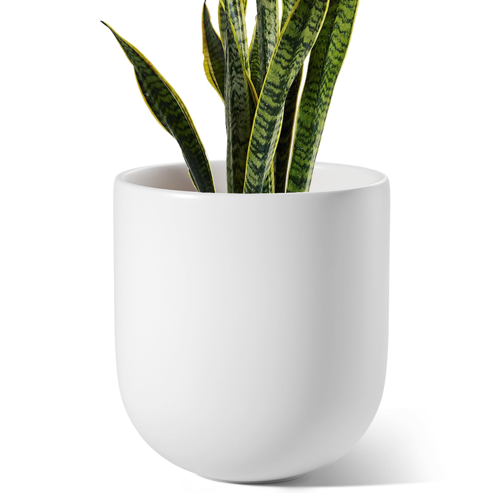 LE TAUCI front view of white 10-inch ceramic planter showing clean silhouette and style benefit