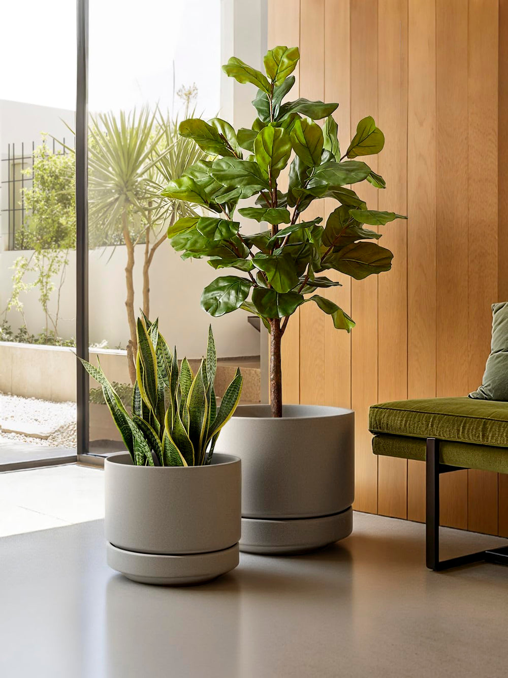 LE TAUCI pot next to large plant showing size and scale for placement