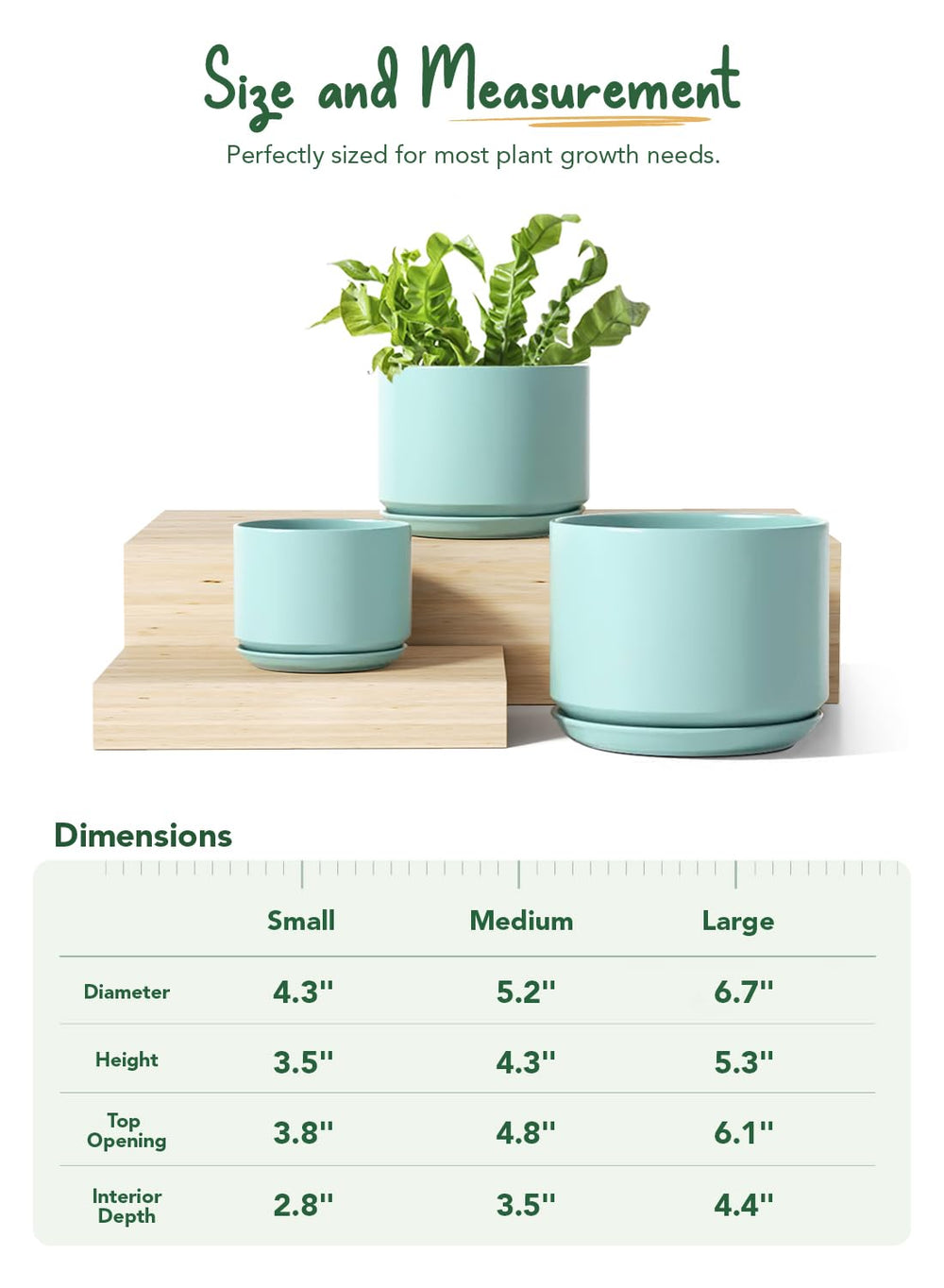 LE TAUCI mesh pad and attached saucer inside pot, keeps soil contained